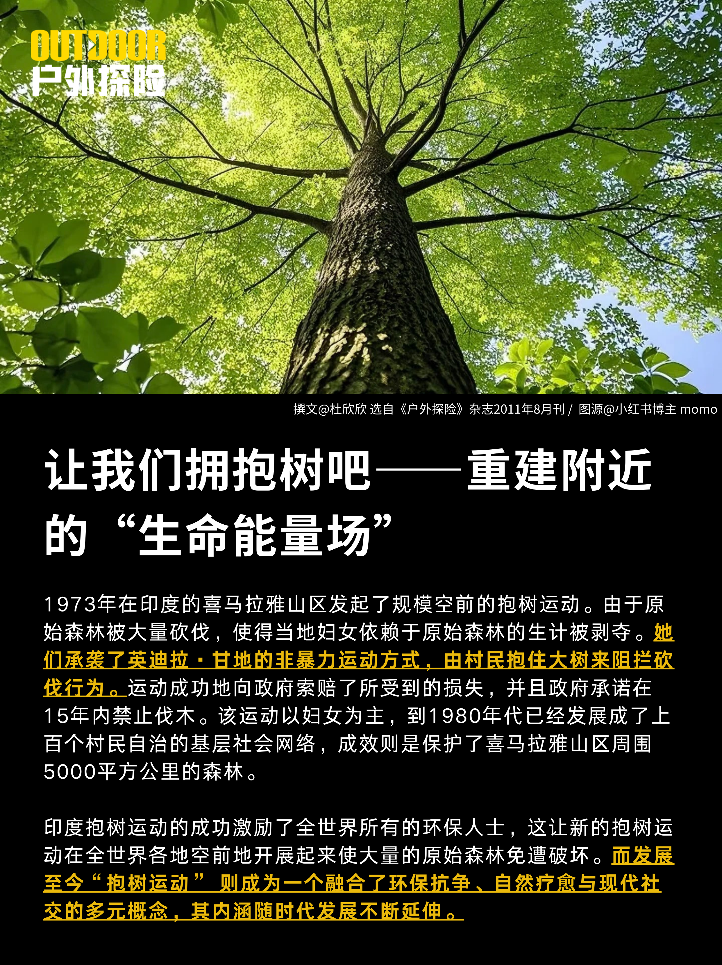 抱树运动何以兴盛？——重建附近的“生命能量场” - 知乎