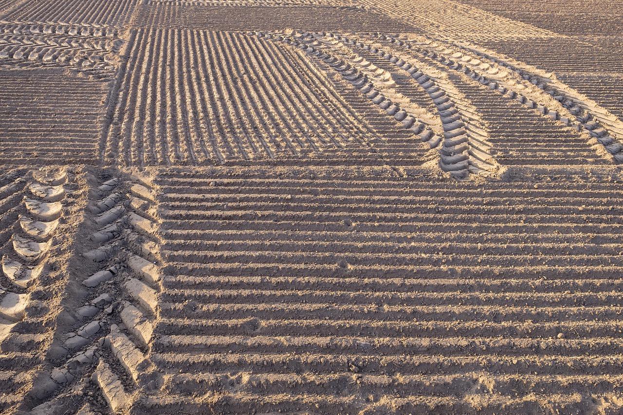 5. 宗地利用现状