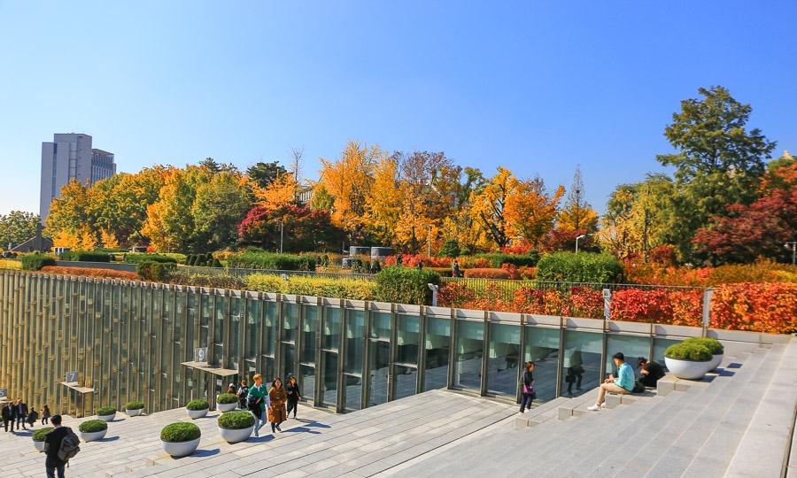 韩国首尔 梨花女子大学景点 梨花大学生商圈女人街逛街 秋天赏枫景点 知乎