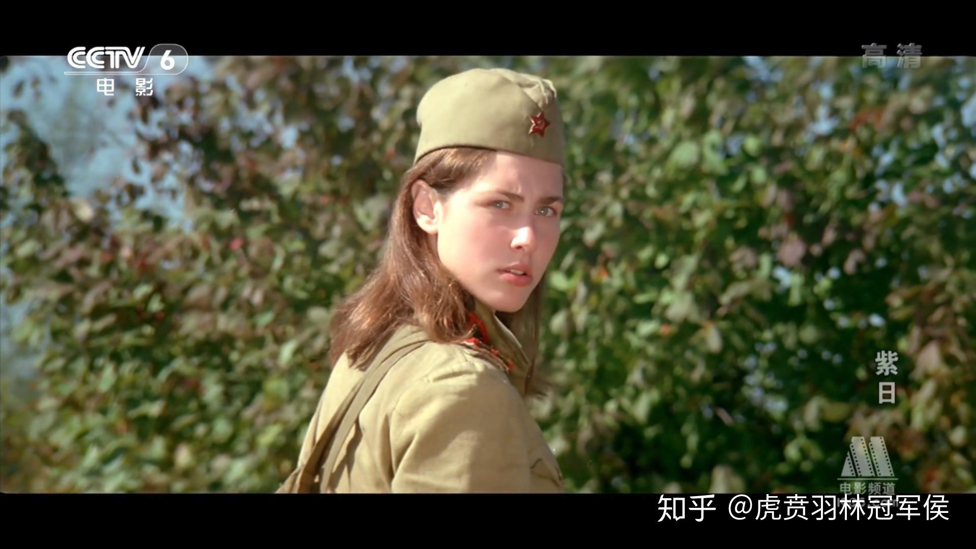 如何评价紫日这部电影