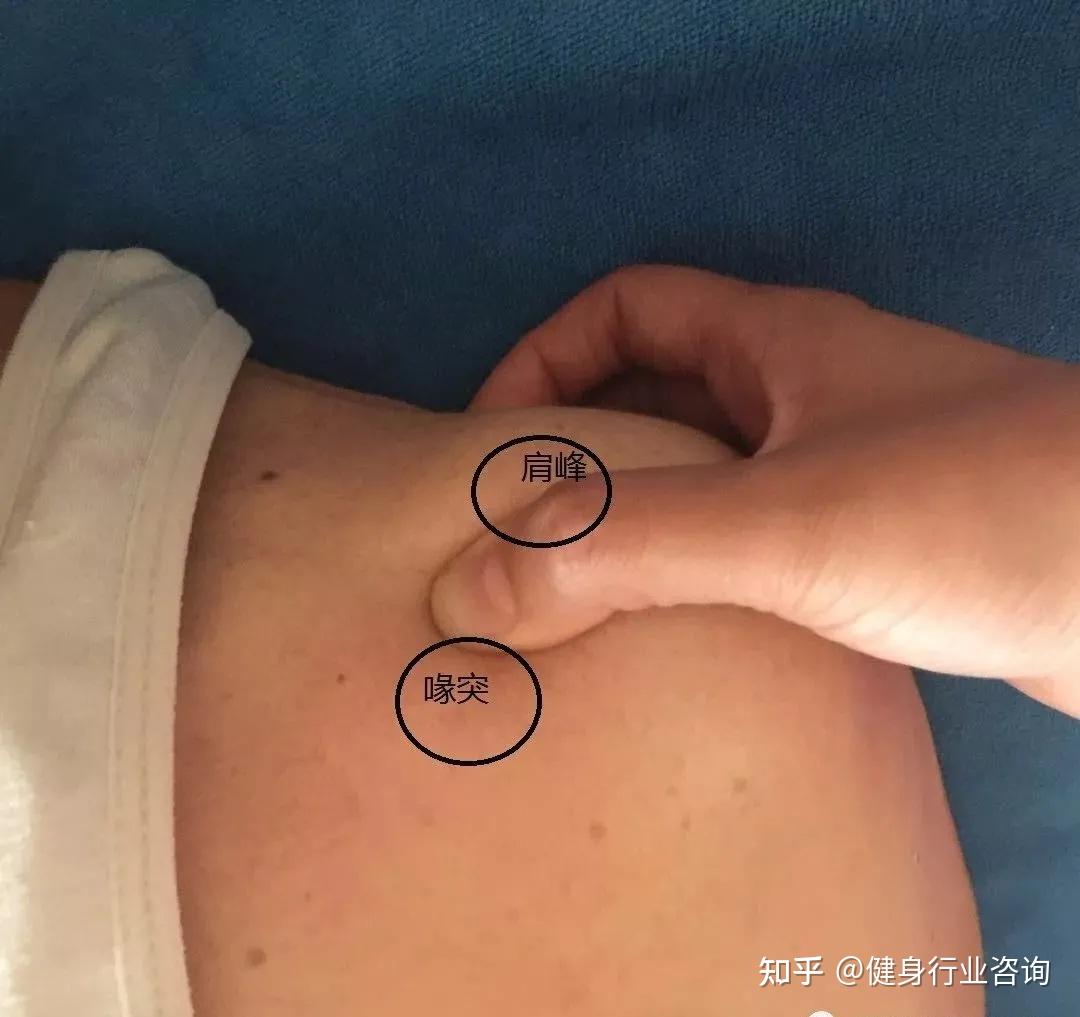 肩胛骨及其周围软组织触诊定位专业分享值得收藏拥有