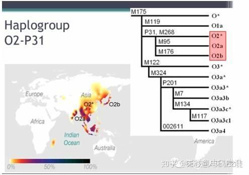 大姓Y单倍群 人类迁徙主因环境与觅食 智人进入东亚东南西北向都有 不同时期进入东亚古人叠加和混血结果 - 知乎
