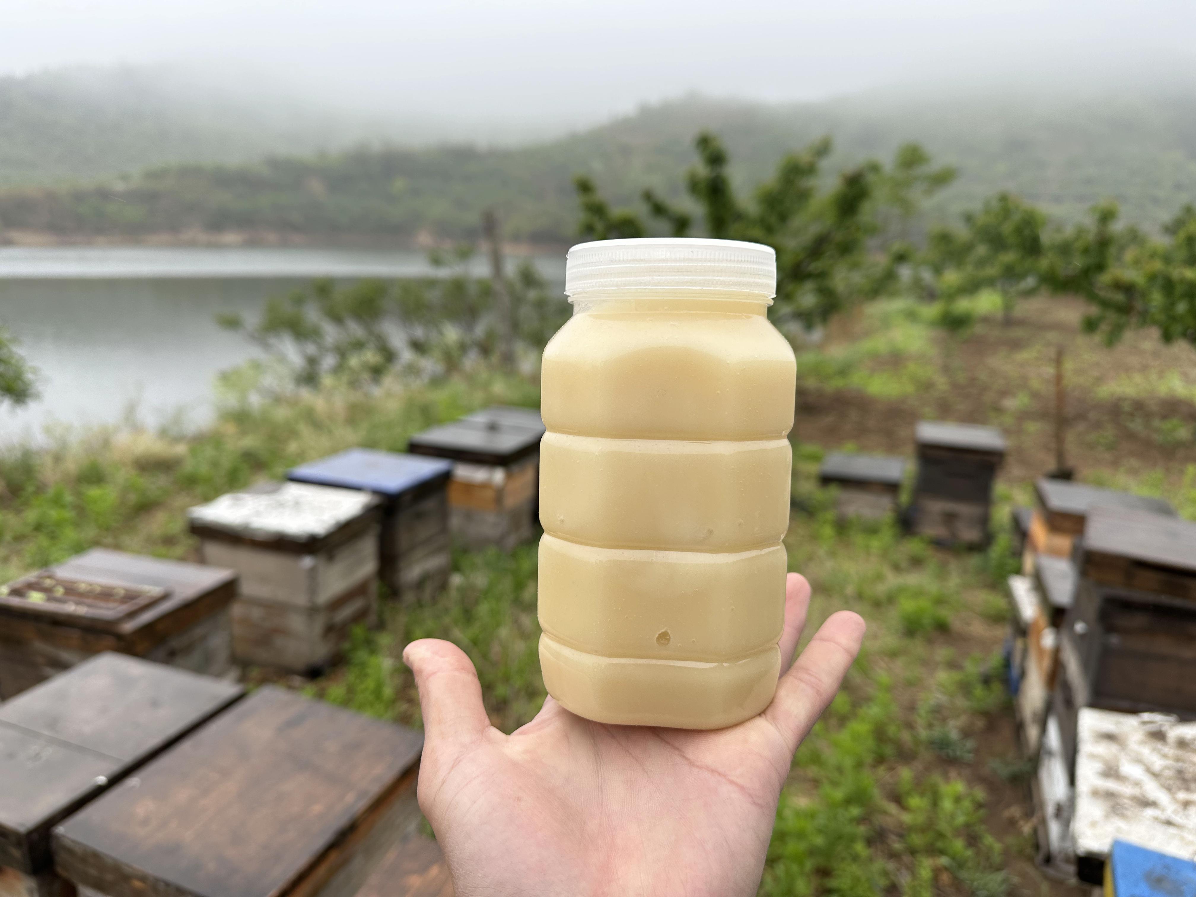 吃蜂蜜对儿童有害吗(蜂蜜对小孩有害吗)