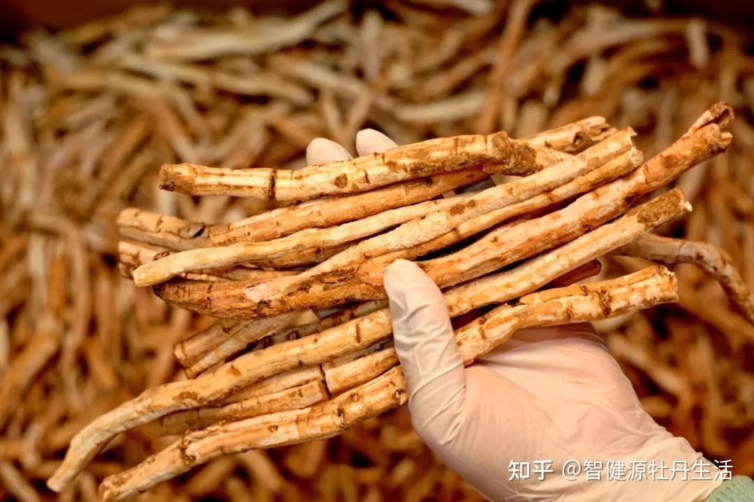凤丹牡丹:千年传承的天然食药妆新宠 - 知乎
