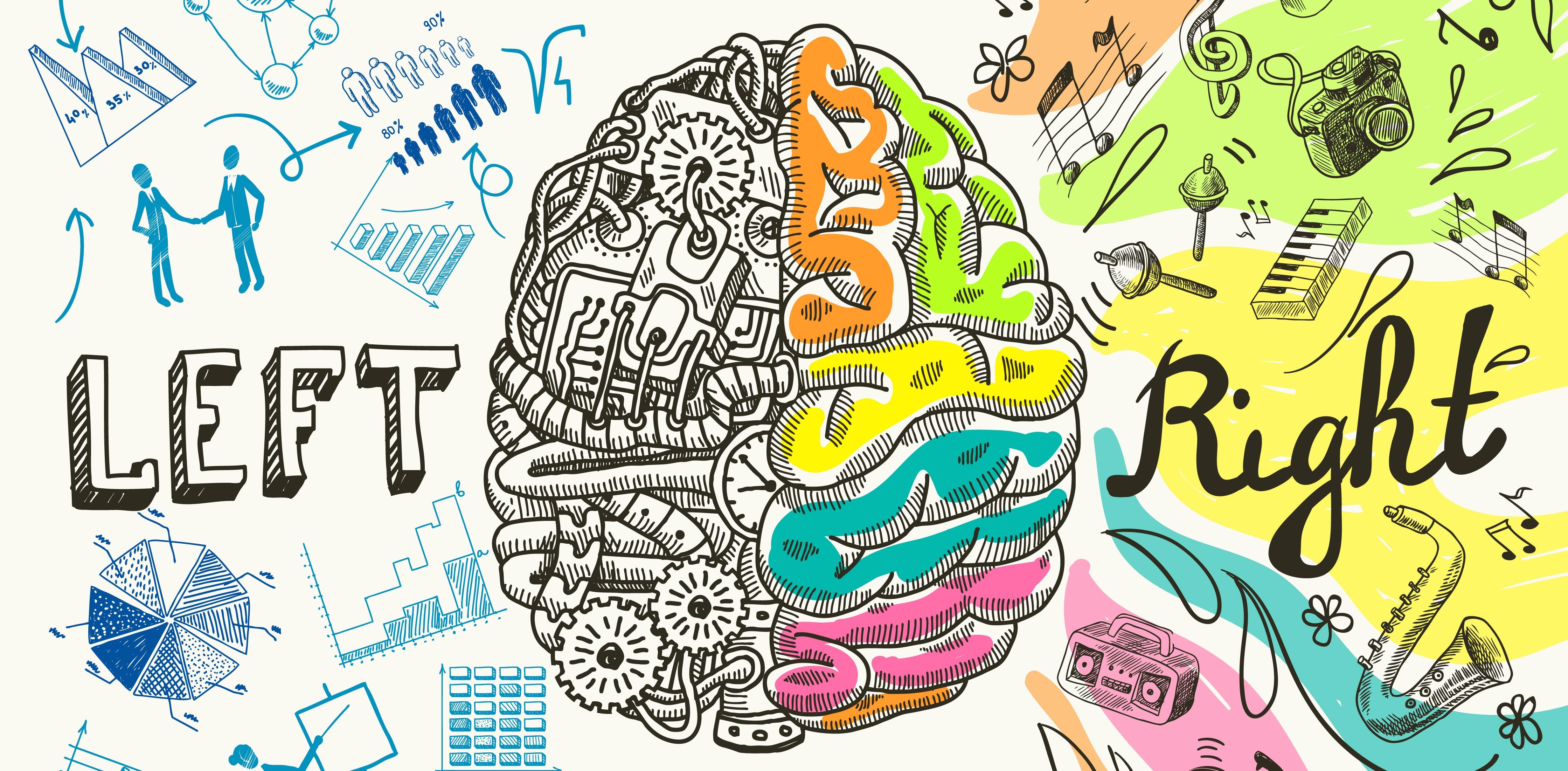 为什么大脑要分左右两个半球? - 知乎