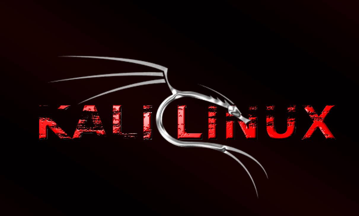 Kali ip 