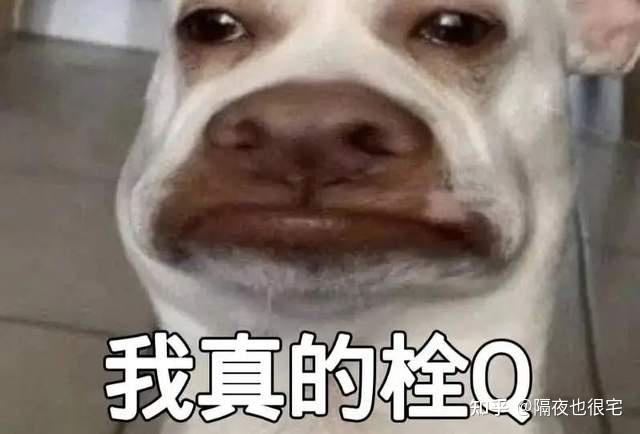 一个神贴预言出来的“LJH梗”，讽刺了互联网烂梗的诞生过程 - 知乎