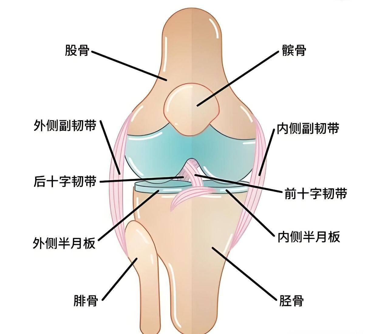 半月板损伤可以做什么运动呢?