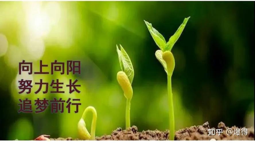 向上生长,不断挑战自己的边界