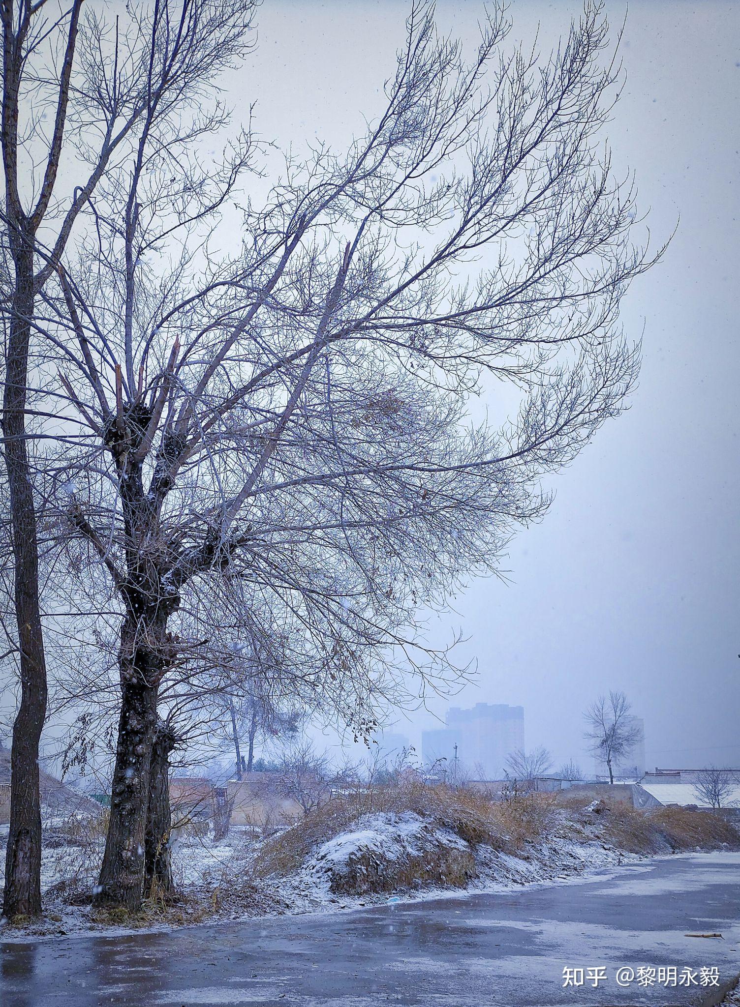 有没有那些很好看的雪图
