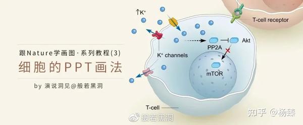 PPT怎么做