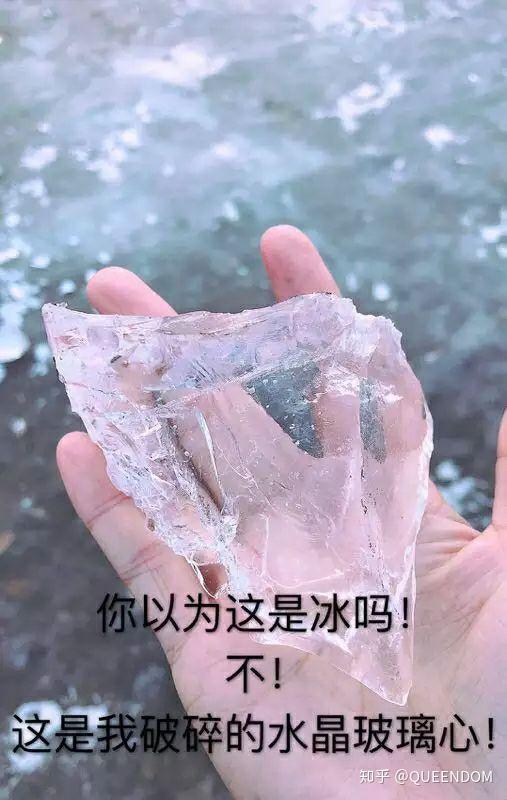 有哪些能把人18死的表情包