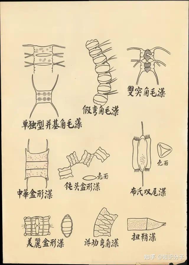 放大尺的使用方法图解图片