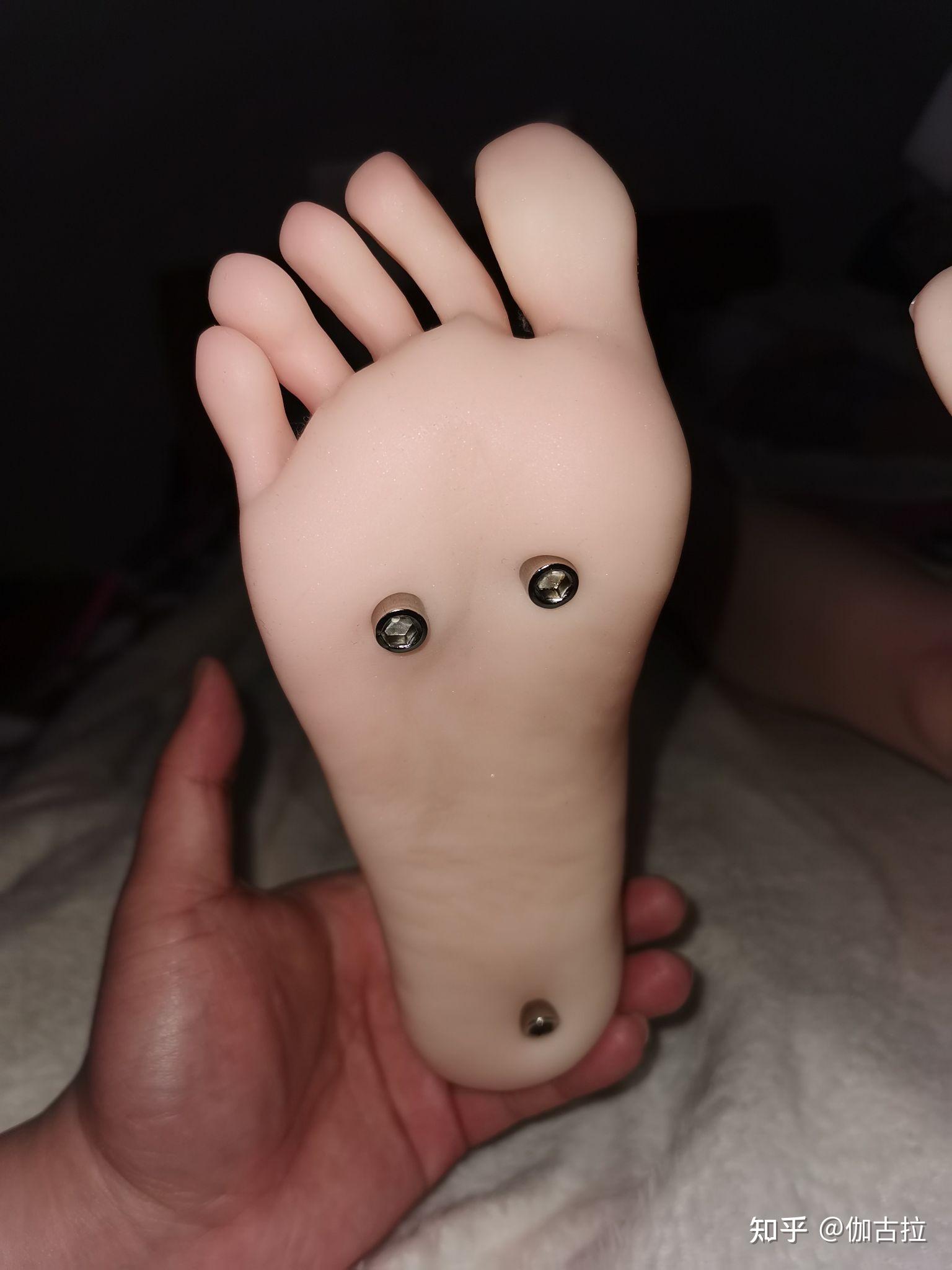 二娃三色堇到家了