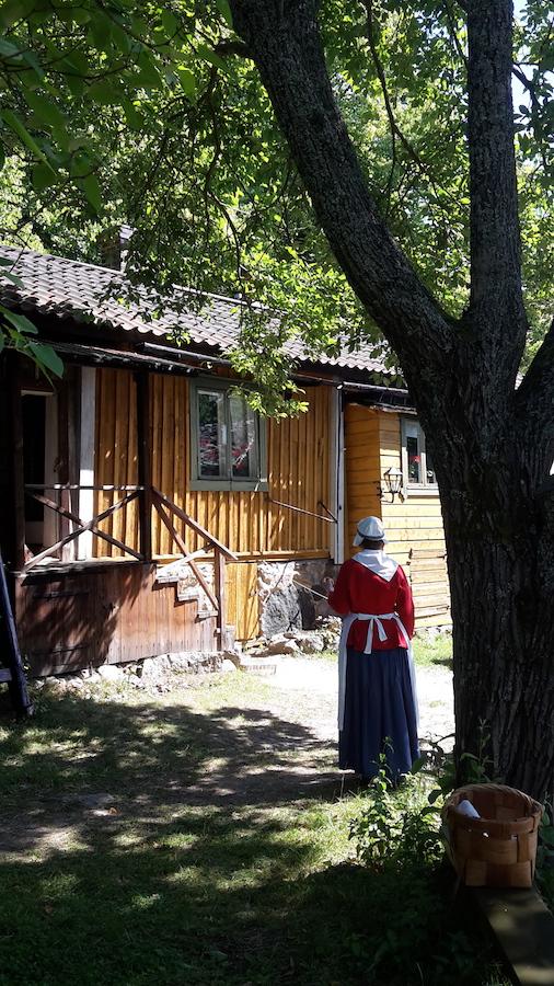 去芬兰旅游的最佳季节是什么时候,哪些地方值