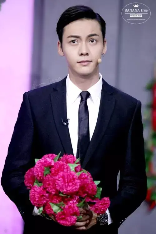如何评价陈伟霆的长相