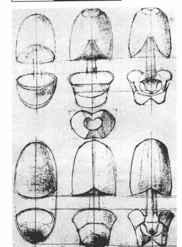速写真经第二式骨与肉