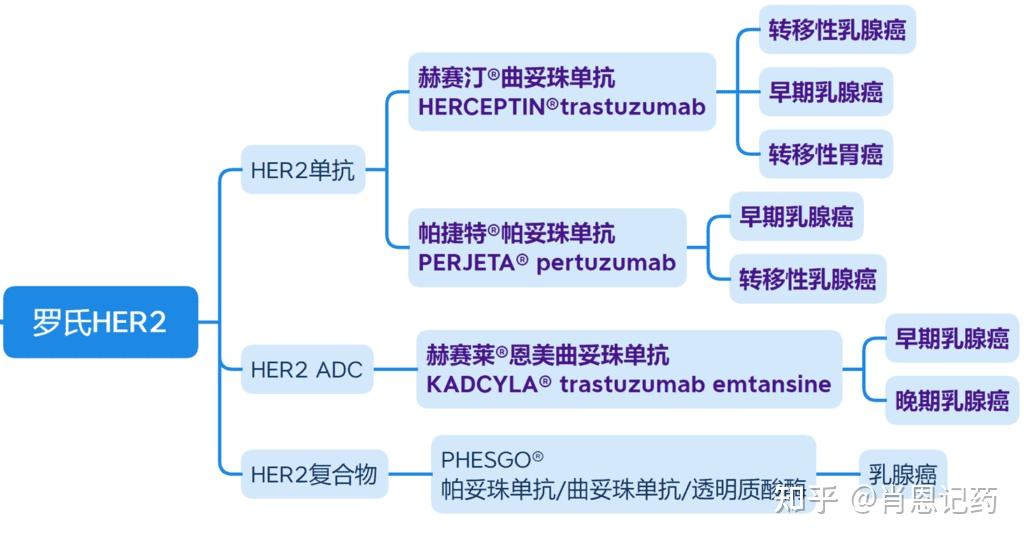 帕妥珠单抗适应症图片