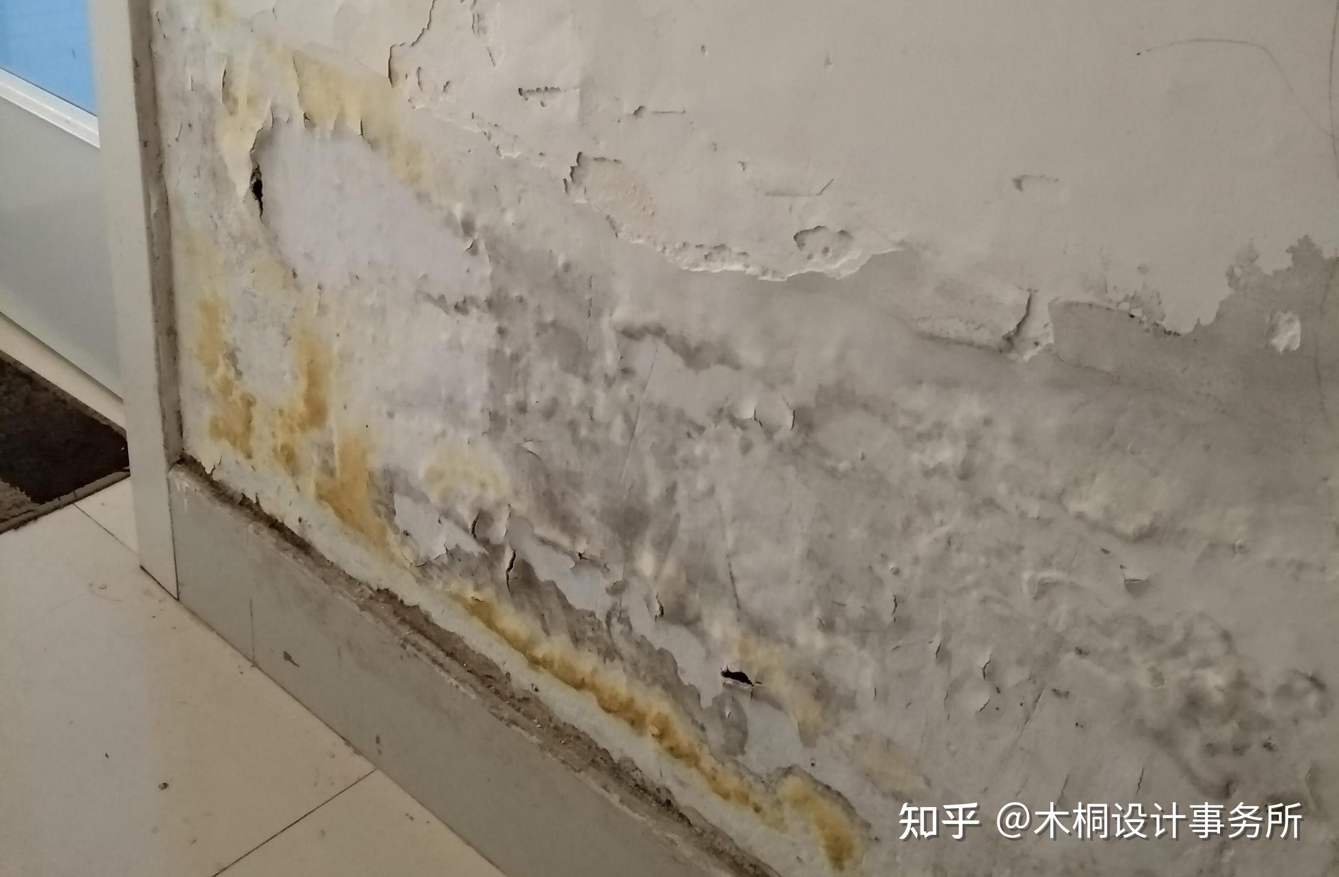 卫生间门口墙面渗水,就像处理不了的顽疾