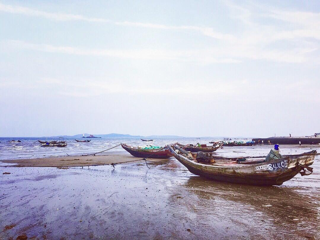 厦门 树与海的城市 边工作边旅行 角马原力远程工作指数测评 知乎