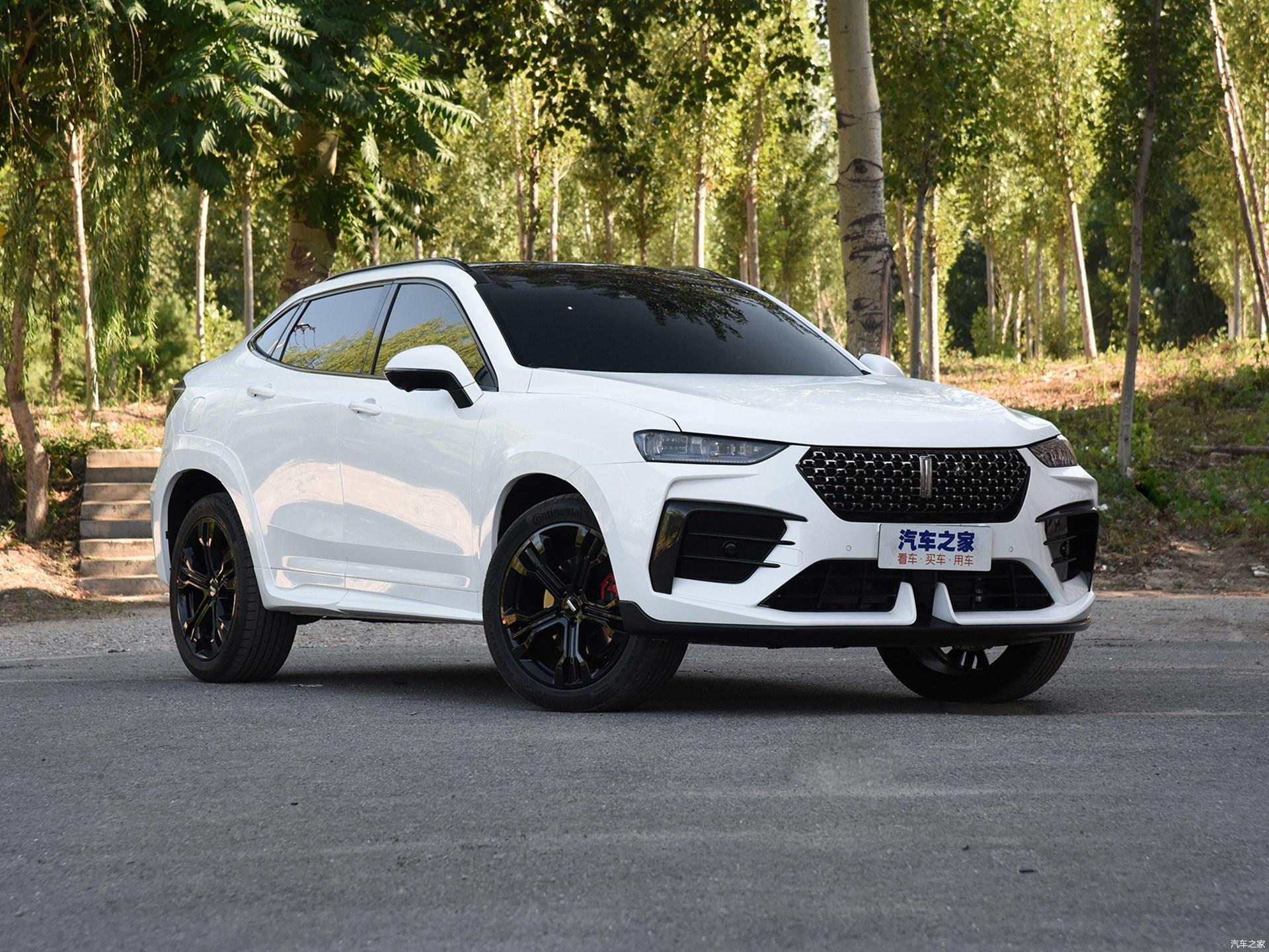 限量300台售价2588万weyvv7gt巴博斯版上市