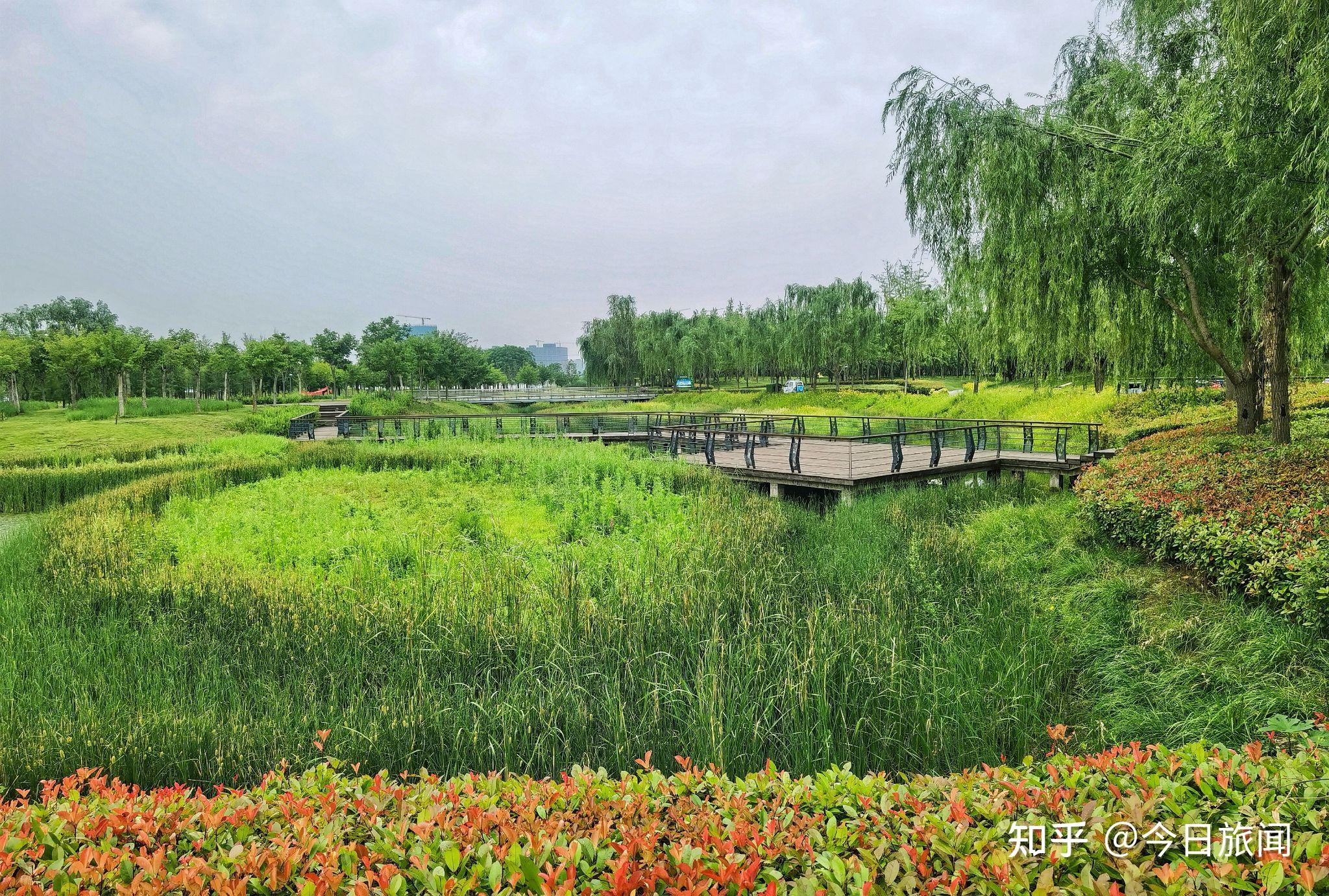 郑州龙湖湿地公园地址图片