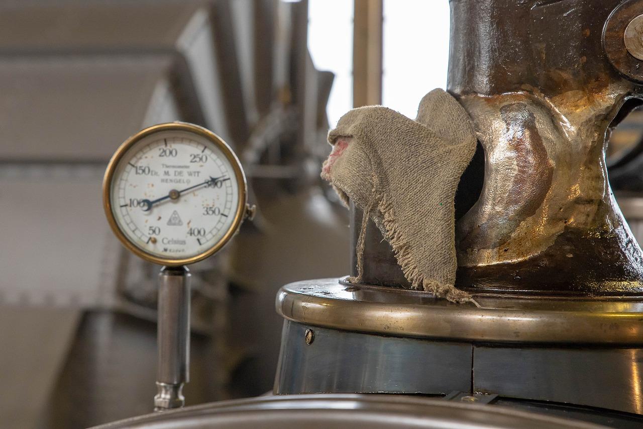 欢乐的家庭时光