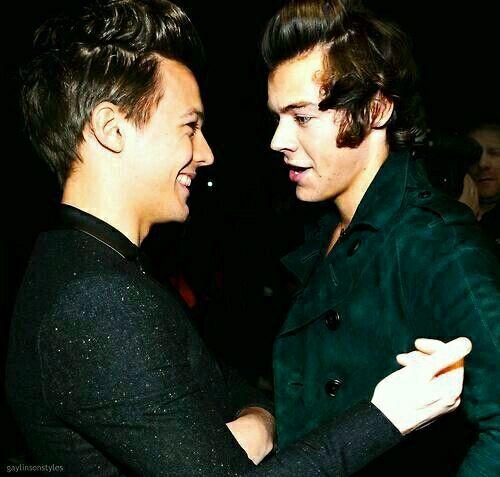 如何看待larry stylinson/harry styles和louis tomlinson关系?