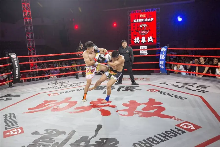 “超豪华阵容”助力“野隐杯武术散打功夫技“-揭幕赛 - 知乎