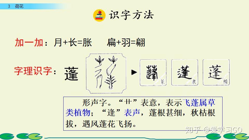 部编版语文三年级下册第3课荷花图文讲解知识点梳理