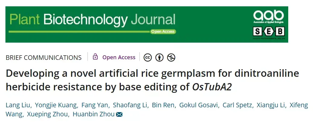 a novel artificial rice germplasm for dinitroaniline herbicide