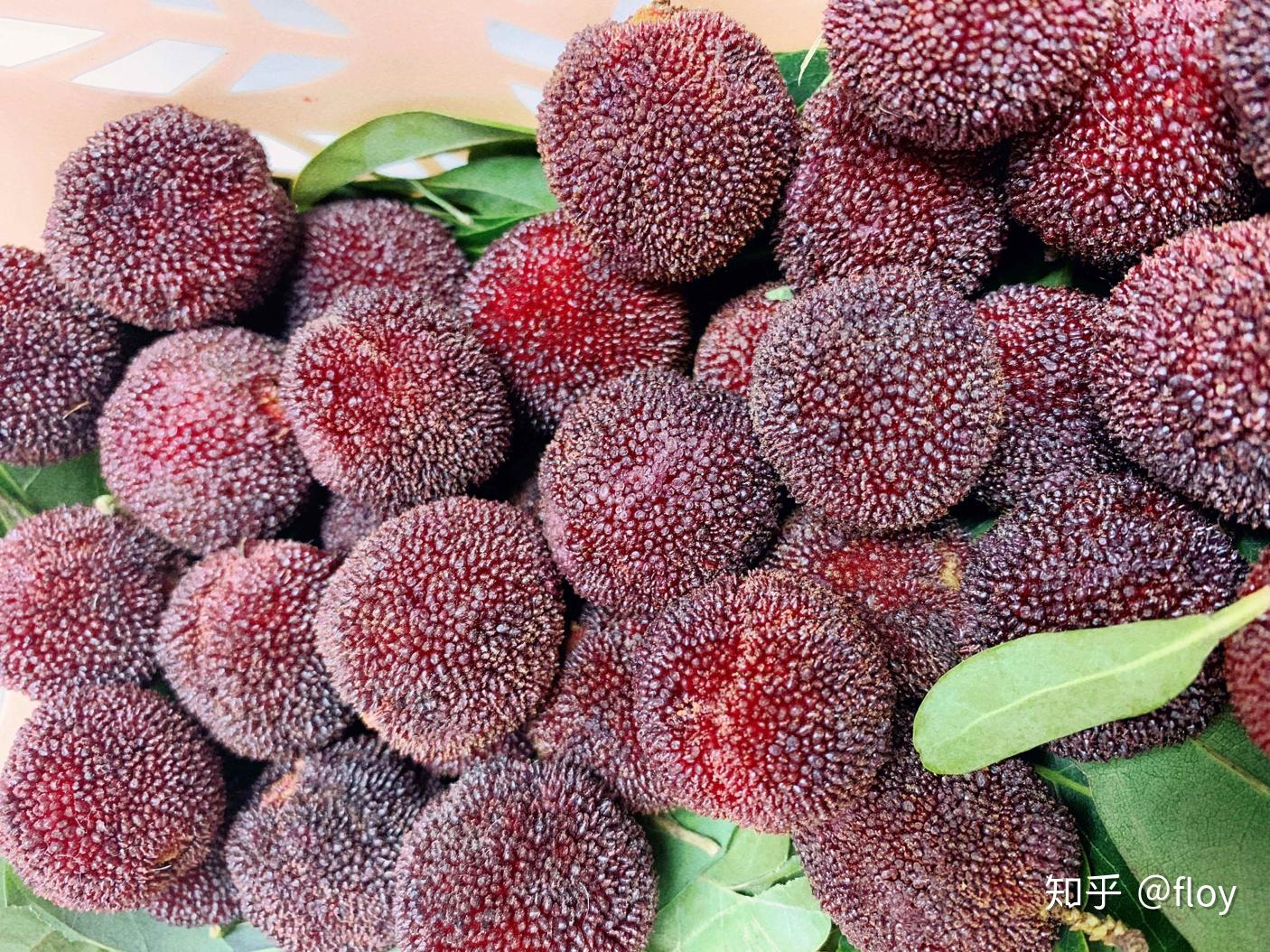 做成这样的酸杨梅我欲罢不能