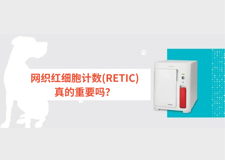 宠医必读|网织红细胞计数(RETIC)真的重要吗? - 知乎