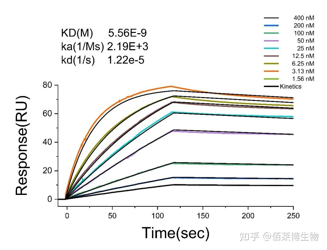 表面等离子共振(SPR)实验技术 - 知乎