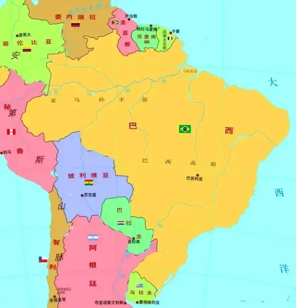 巴西阿根廷鸟巢直播_阿根廷巴西_巴西阿根廷是宿敌国家吗