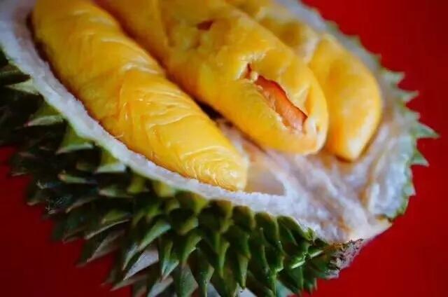 金枕头榴莲和猫山王榴莲的区别?