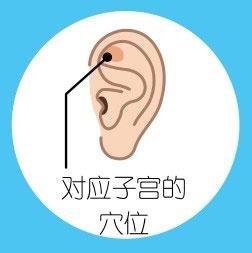 子宫穴 - 捏捏耳朵,身体好 - 知乎书店