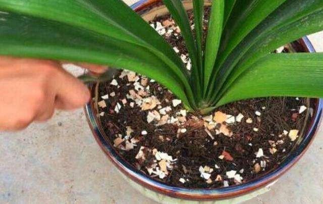 v2-5df57ffe2848f1ede3946ce5a62ec984_1440w.jpg?source=172ae18b