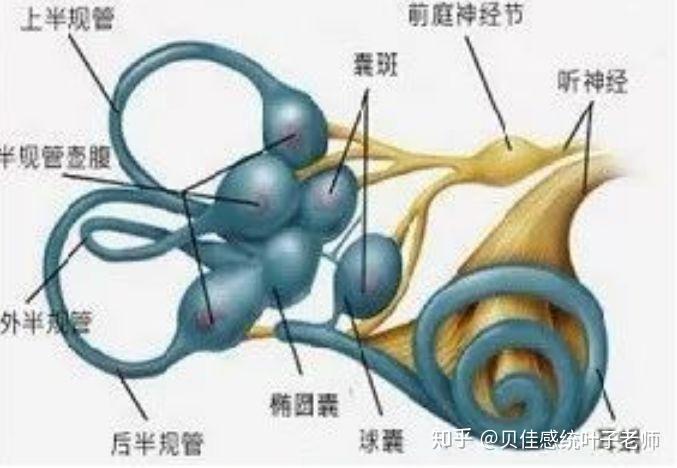 v2-5df66ddc1b3f8f7773adb2c4bac87d9b_r.jpg