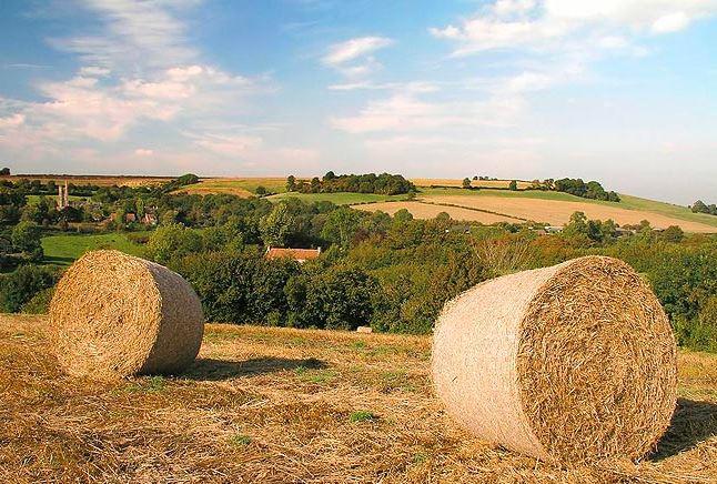 介绍一种美国农场的另类投资模式