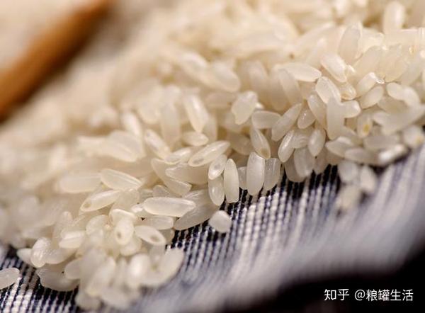 中国十种最好吃的大米 快来看看你吃过哪种 知乎