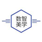 数智美学