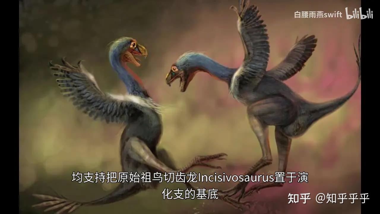 窃蛋龙明明不偷蛋,为什么要叫它窃蛋龙? - 知乎