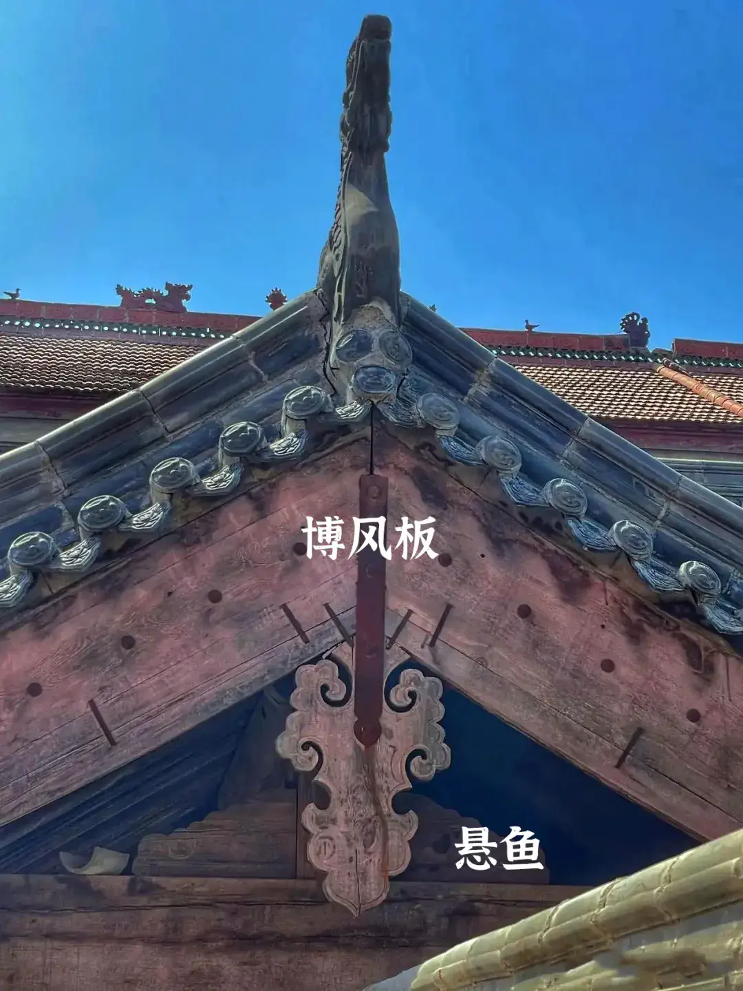 什么是悬鱼和惹草? - 知乎
