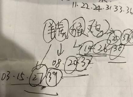 用天线宝宝预测六合彩