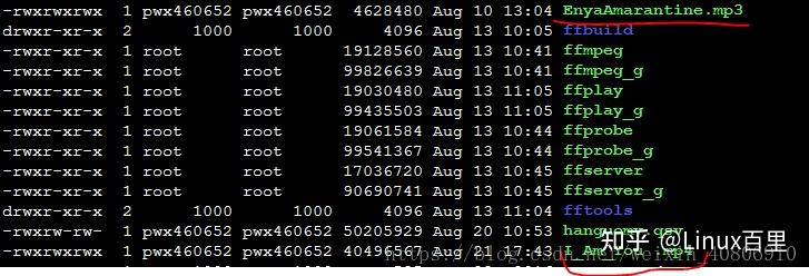 Linux 下ffmpeg的环境搭建与安装 - 知乎
