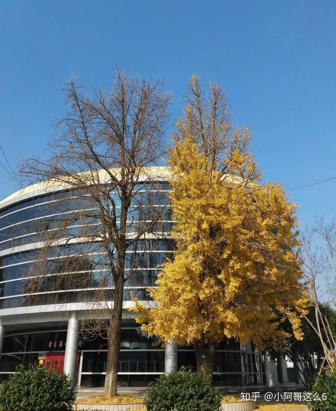 在南京农业大学浦口校区(工学院)上学是什么样的体验? - 知乎