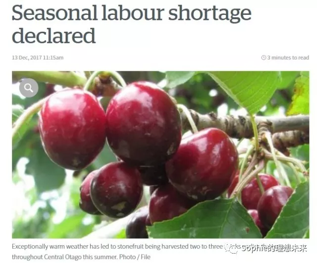 新西兰季节工作签证supplementaryseasonalemployerworkvisasse季节