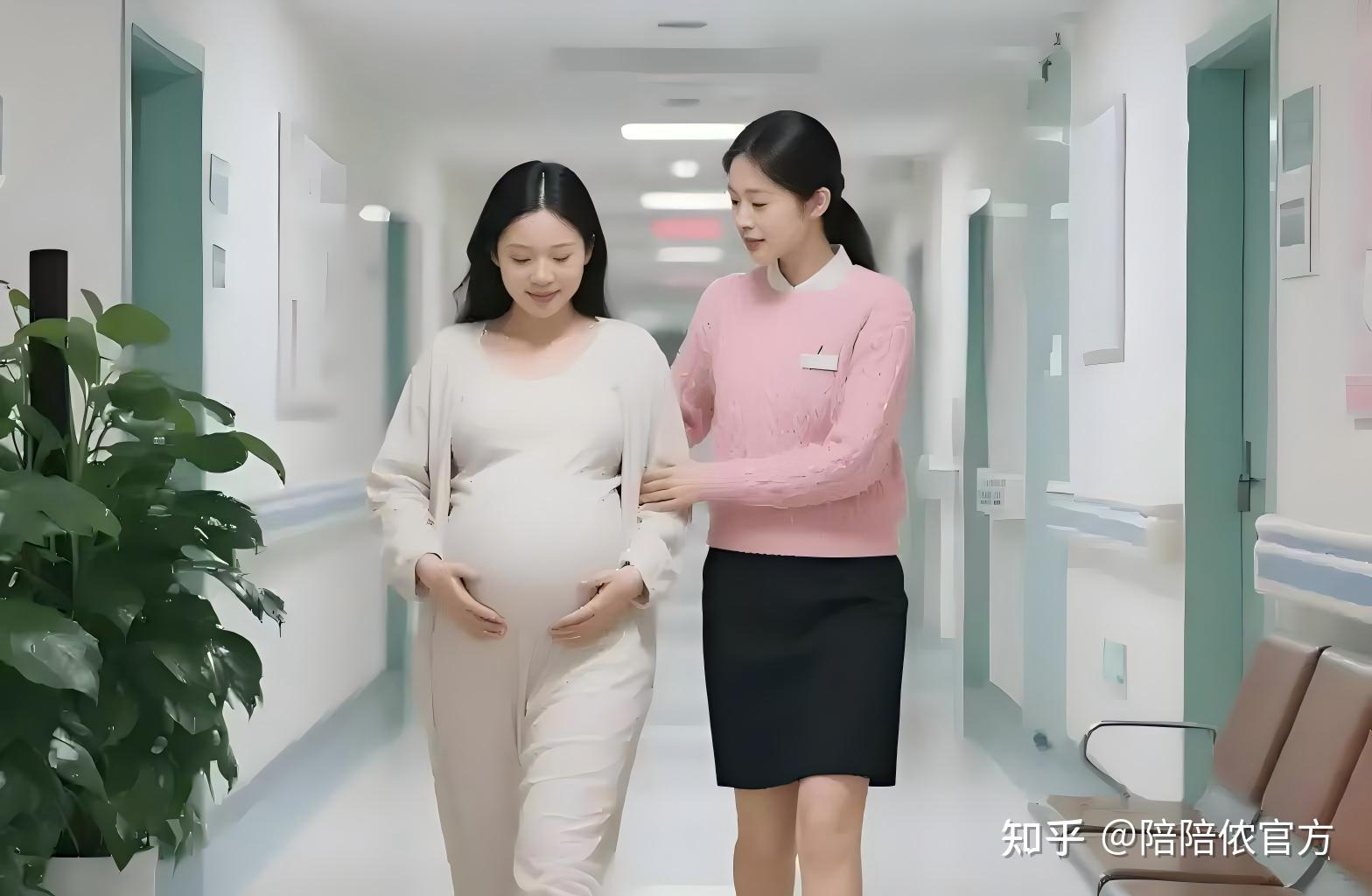 孕期产检全流程痛点解析:六大堵点,多少孕妈在独自硬扛? - 知乎