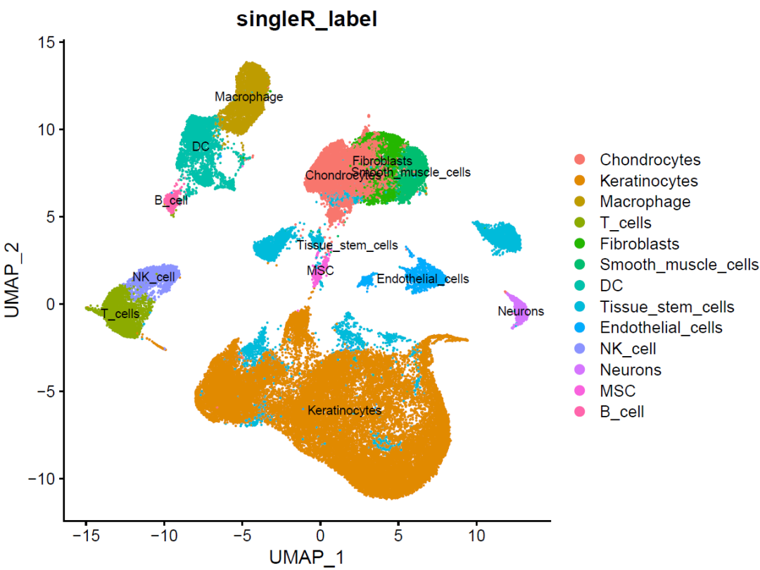 单细胞/时空文章代码复现——细胞类型注释及UMAP图优化 - 知乎